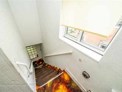 Picture 28
